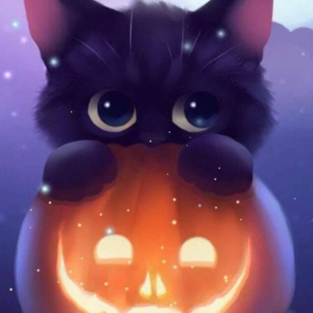 Meet your Posher, Kathie